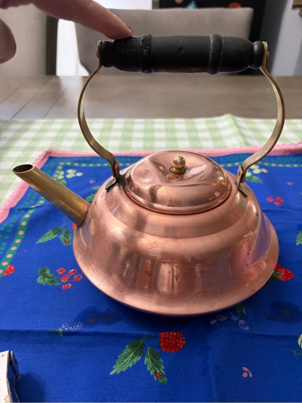 Copper Teakettle with Brass Spout and Black Handle decoration